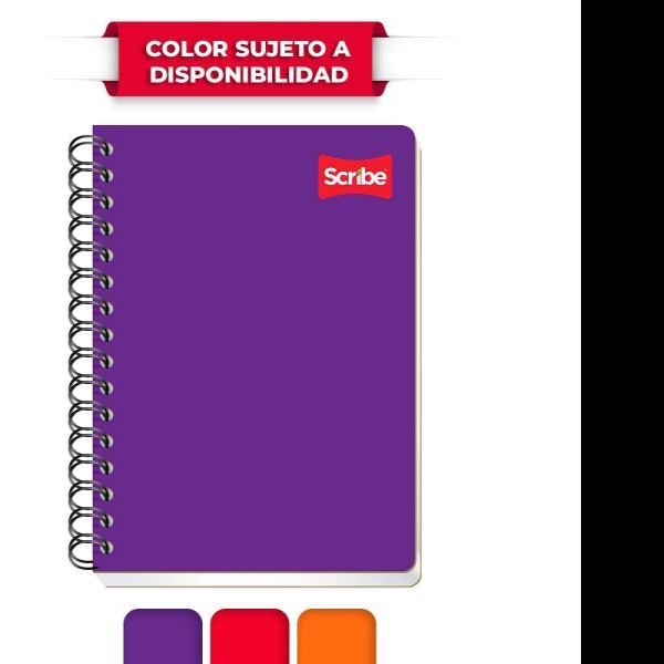 CUADERNO FRANC. CLASICO SCRIBE 1603 C7MM. ESP. 100H. C.36